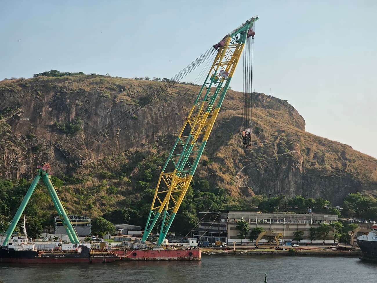 Embarques de carne de frango restabelecem níveis e alcançam 480 mil toneladas, confira!