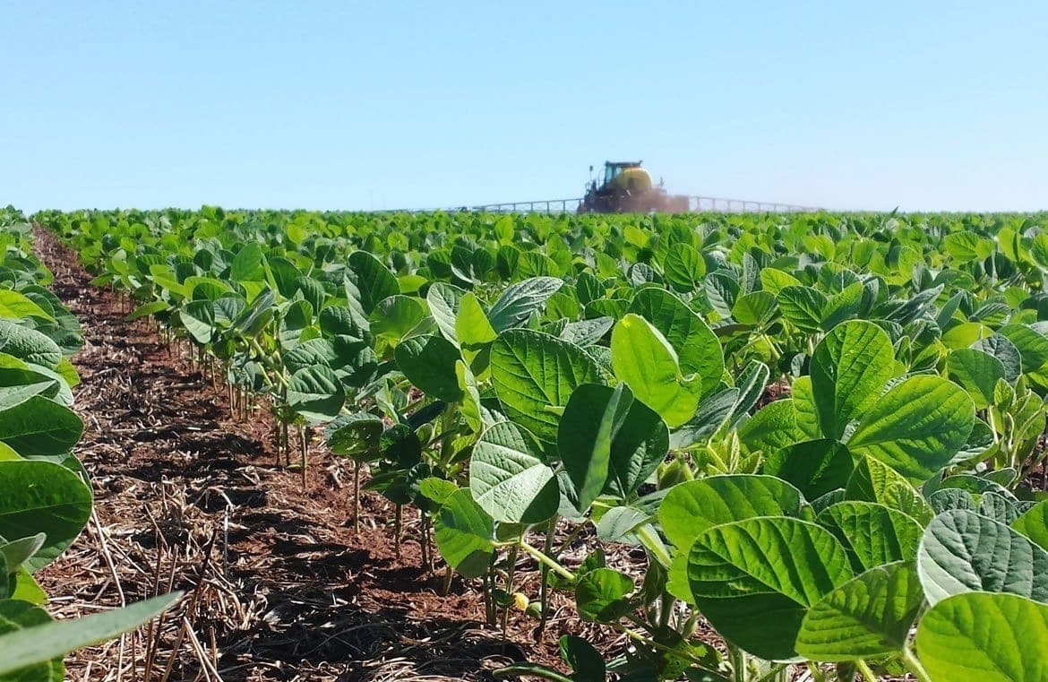 Paulada do USDA no mercado deixa a soja com potencial de US$ 14, a depender do clima nos EUA