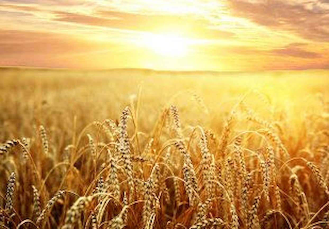 Em Carnaval de suspense, commodities ainda misturarão fundamentos e riscos geopolíticos