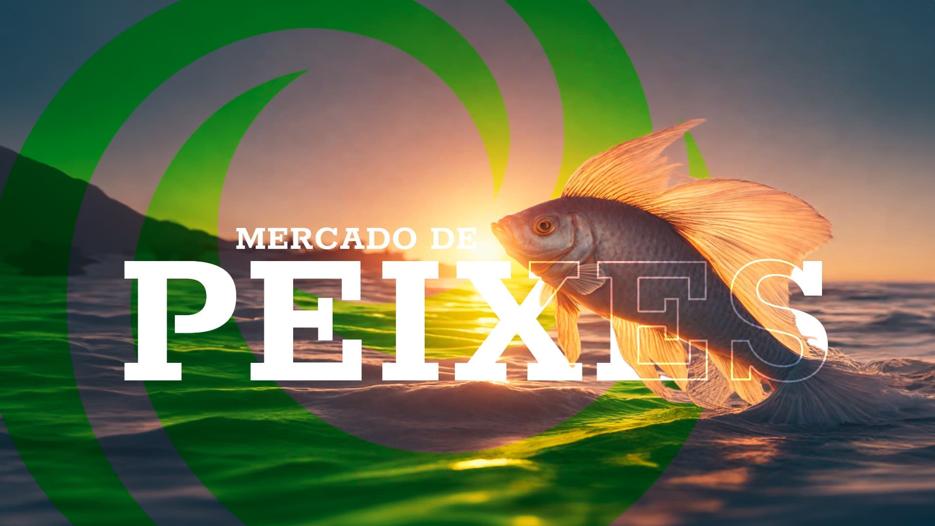 Tilápia em queda: Por que o preço do peixe despencou e o que esperar agora?