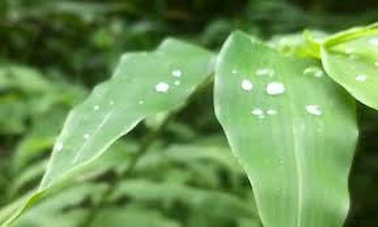 Previsão do tempo: Veja como será o clima em abril