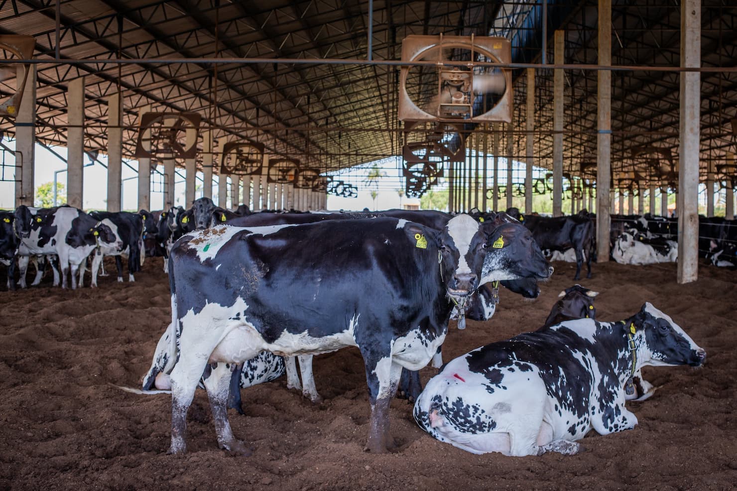 Ministro da Agricultura detalha renegociação de dívidas dos produtores rurais