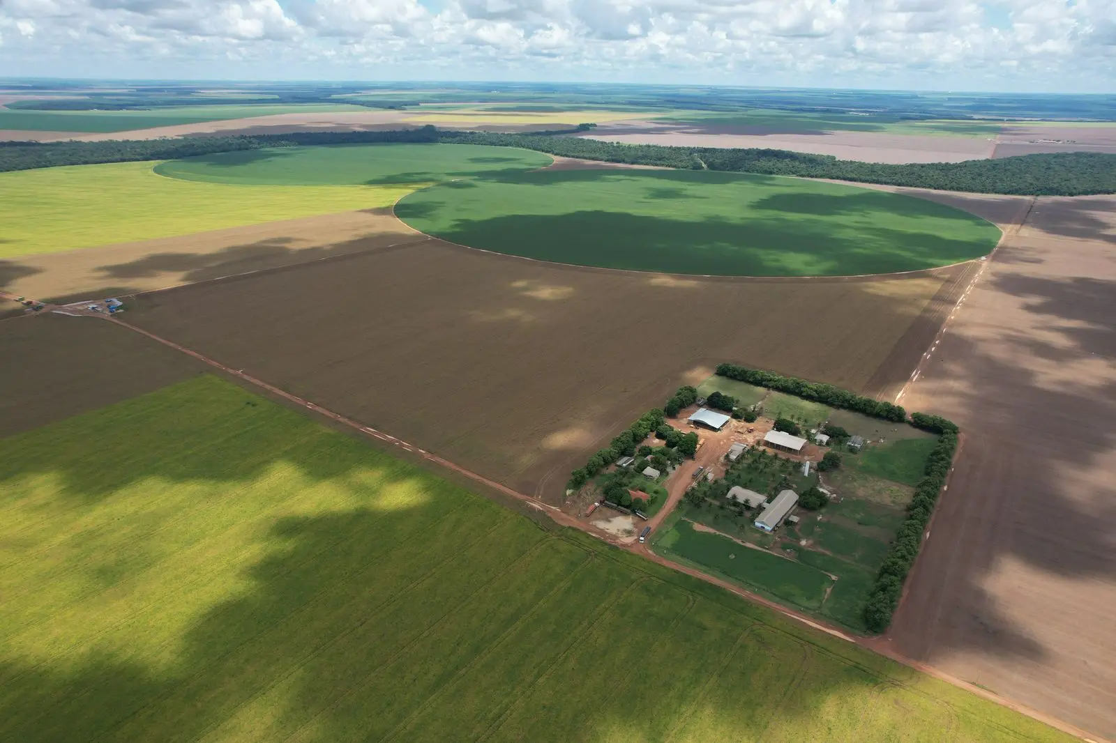 Guerra no Irã e soja em baixa criam “liquidação” de terras em Mato Grosso