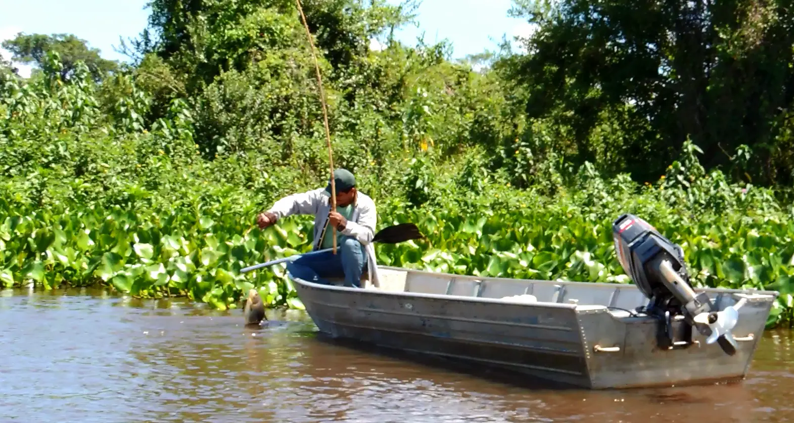Pesquisas subsidiam políticas públicas de Pesca no Pantanal