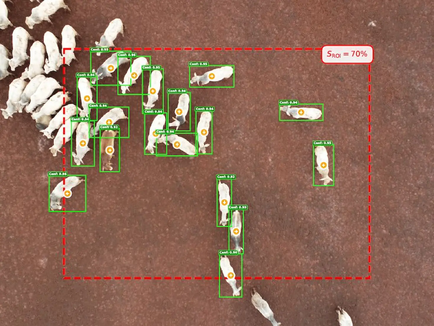 Drones e inteligência artificial indicam melhor momento de abate do gado