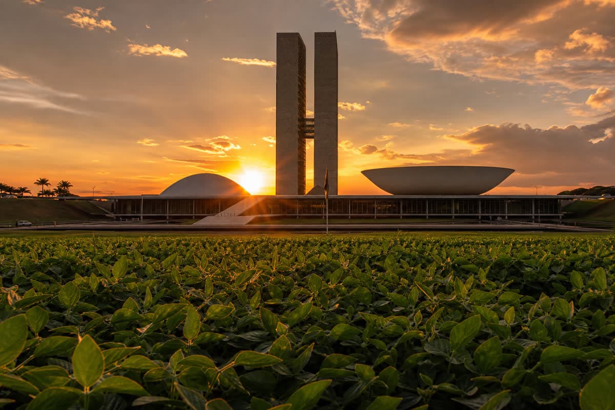 Congresso Nacional e lavoura representam conexão entre política agrícola e produção rural