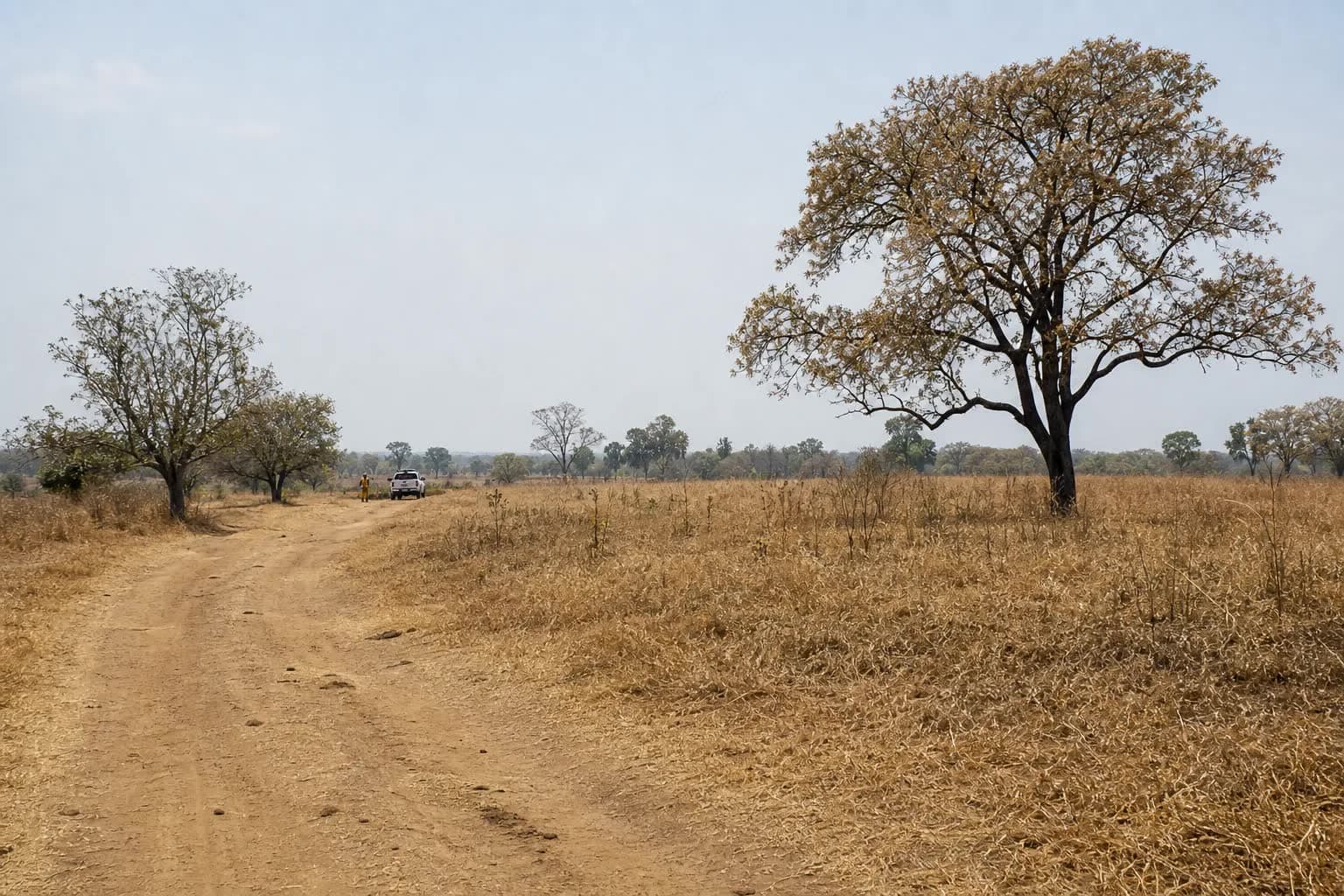 MS decreta emergência por risco de El Niño