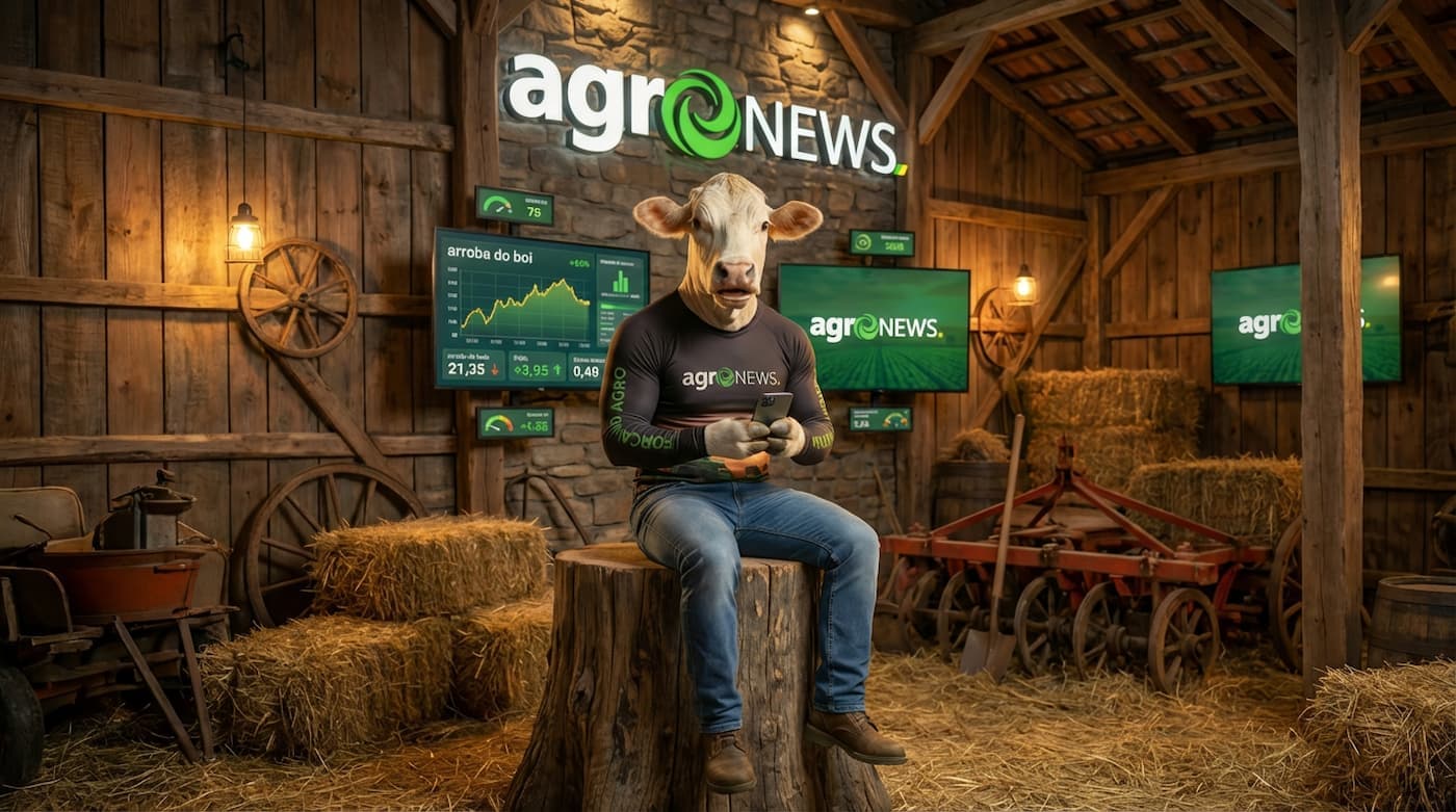 Arroba do boi se mantém estável, mas MT ainda abaixo dos R$ 300