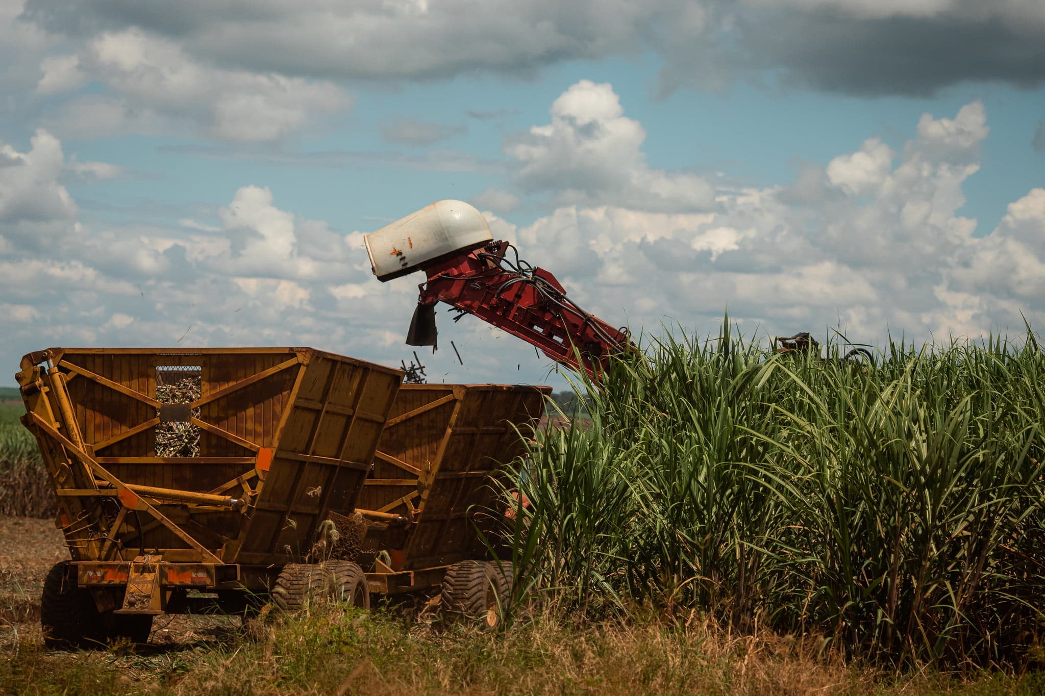Açúcar cristal: o que esperar do indicador no fim de safra?