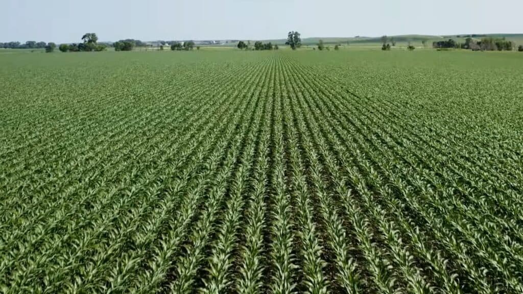 Desenvolver a computação quântica é fator estratégico para a agricultura do Brasil