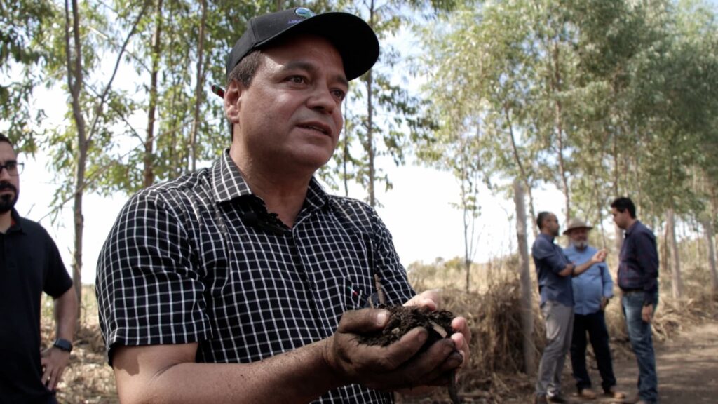 Bioativa Paulo