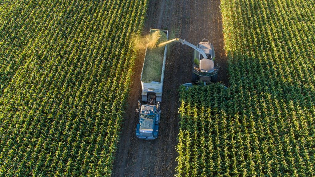 agricultura