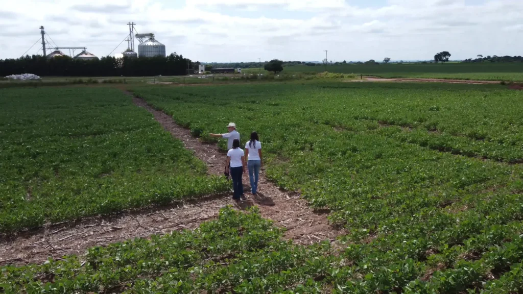 Agricultura Regenerativa Carbono No Solo E Sinonimo De Produtividade Comprovada Familia