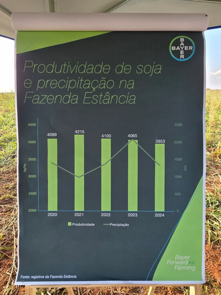 Resultados Fazenda Estancia