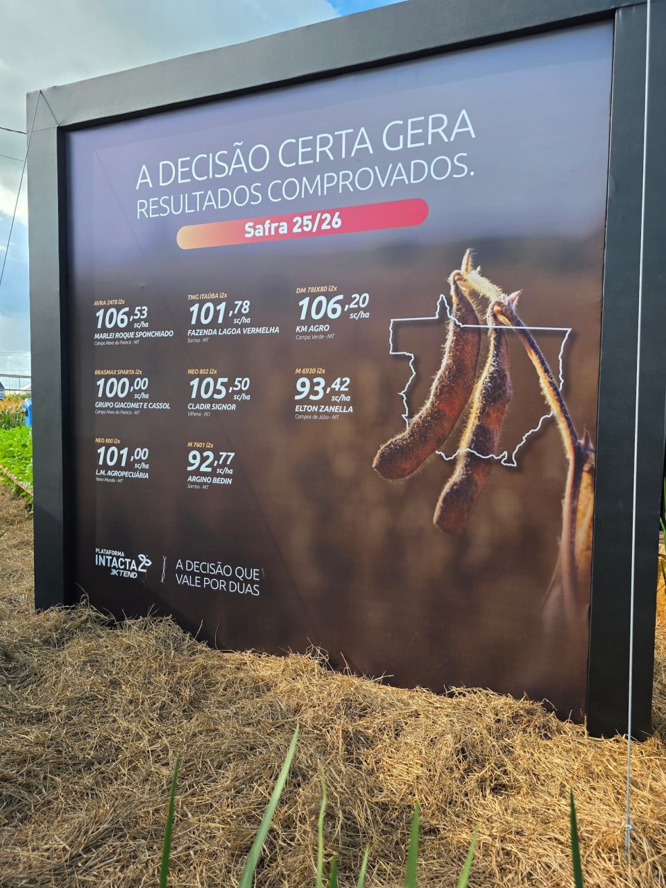 Bayer apresenta resultados surpreendentes no controle do Caruru e da Buva no Centro-Oeste