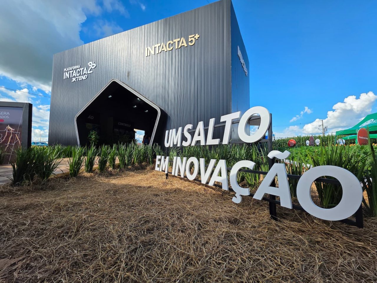 Bayer apresenta resultados surpreendentes no controle do Caruru e da Buva no Centro-Oeste