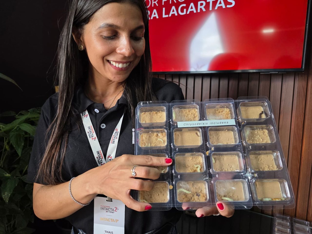 Como a ciência e a inovação vencem os "Devoradores da Produtividade"