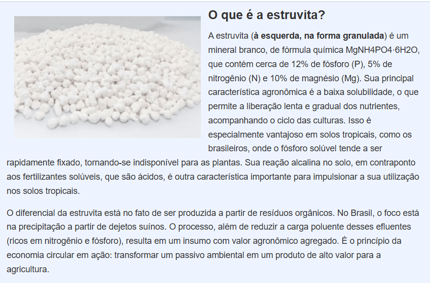 estruvita