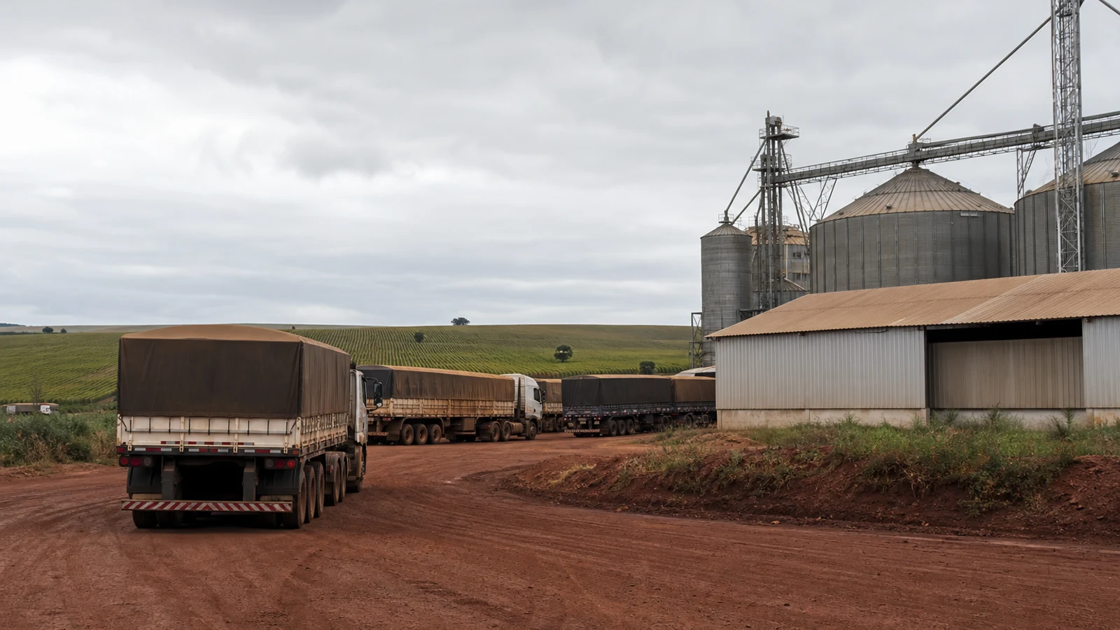 Caminhões graneleiros em armazém de soja em Mato Grosso