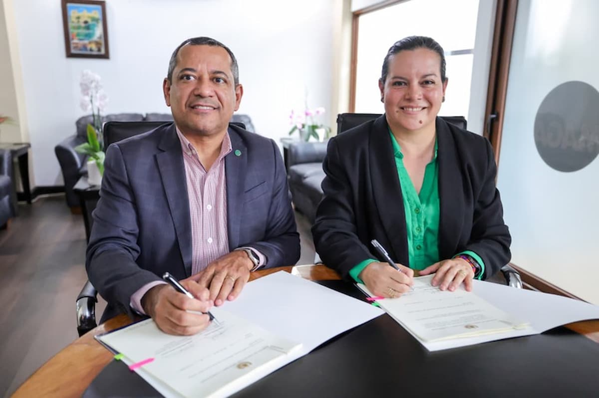 Brasil e Guatemala fecham acordo agropecuário com abertura para carne bovina