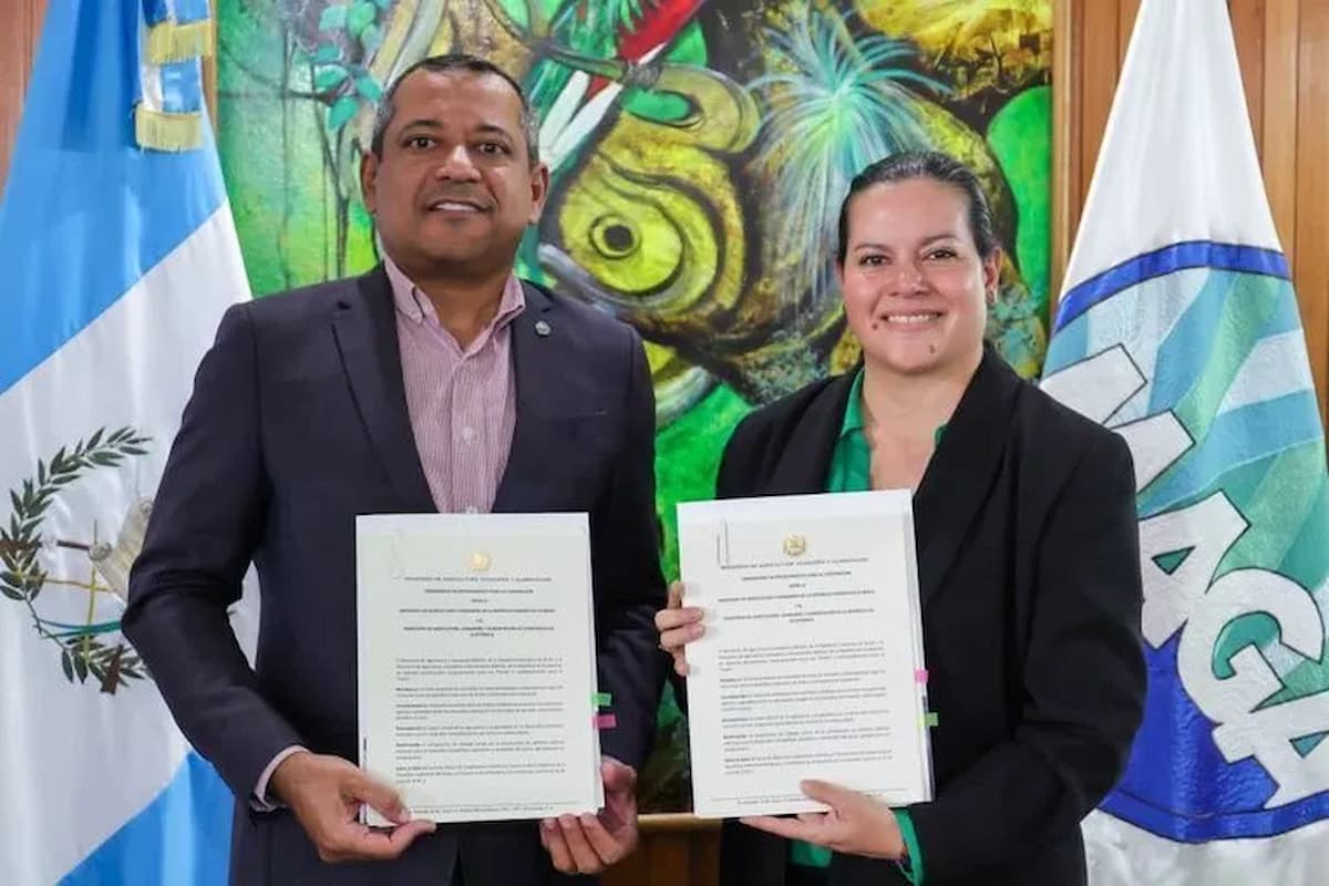 Brasil e Guatemala fecham acordo agropecuário com abertura para carne bovina