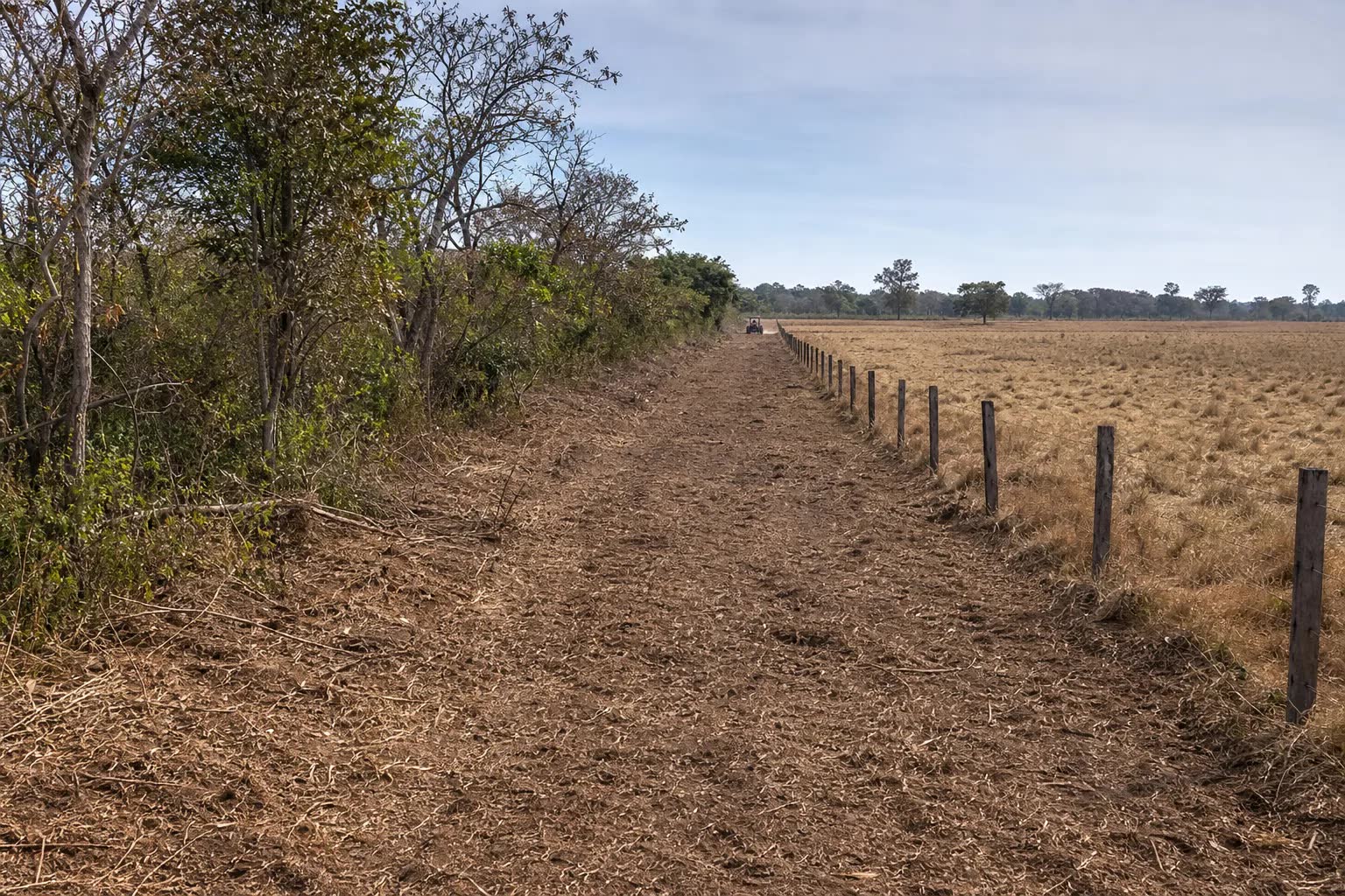 Aceiro em propriedade rural usado para prevenção de incêndios