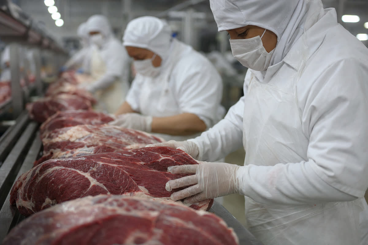 Inspeção de carne bovina em frigorífico brasileiro para exportação