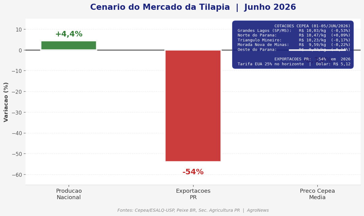 Carregamento de tilápia para processamento em frigorífico no Oeste do Paraná com trabalhadores rurais selecionando os peixes