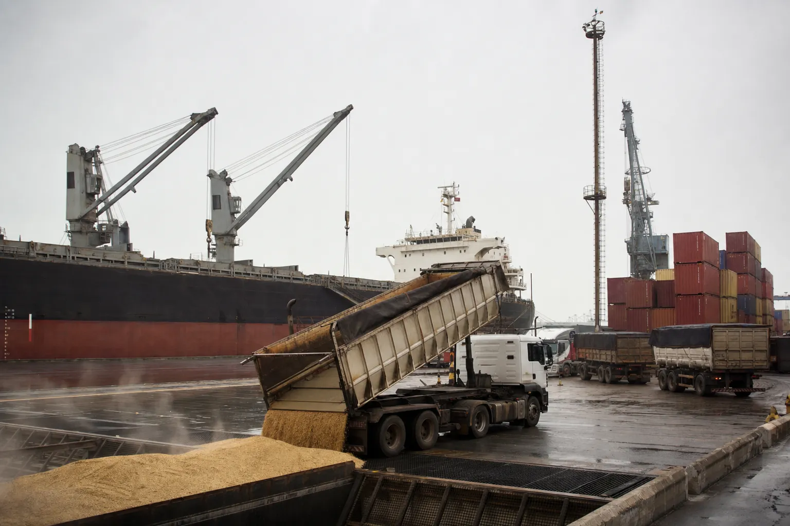 movimentação de cargas agrícolas brasileiras em terminal portuário