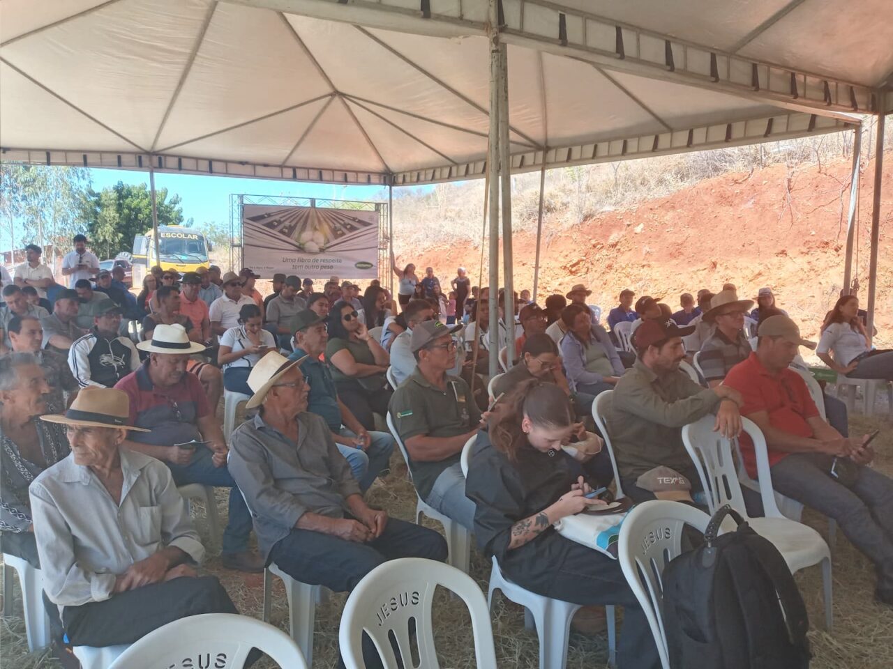 Algodão no Semiárido inovação faz a cultura renascer no Norte de Minas (10)